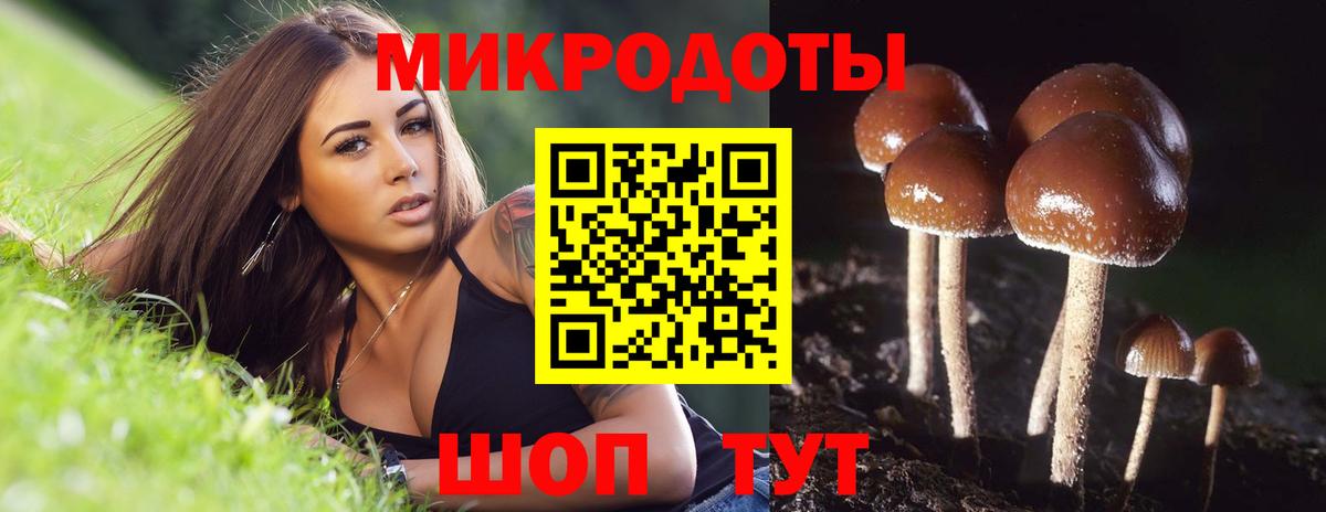 Галлюциногенные грибы прущие грибы Лысьва